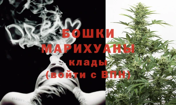 прущие грибы Кукмор