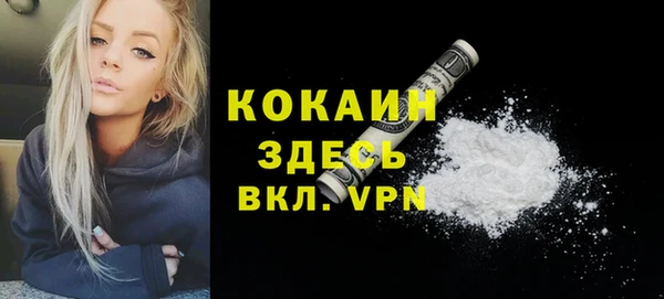 прущие грибы Кукмор