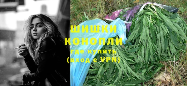 прущие грибы Кукмор