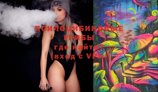 прущие грибы Кукмор