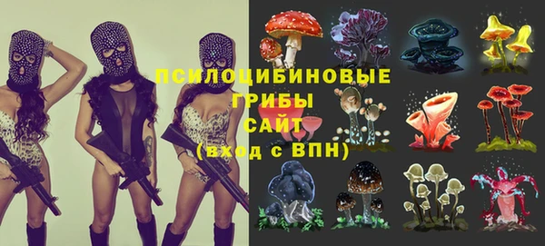 прущие грибы Кукмор