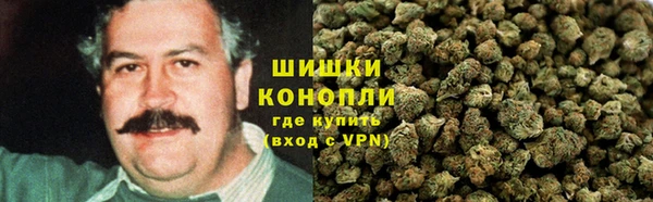 прущие грибы Кукмор